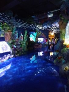 ジャカルタの新しい水族館、Jakarta Aquarium　NEO SOHO