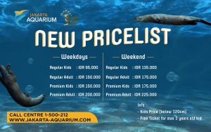 Jakarta Aquarium新料金　子供価格設定有